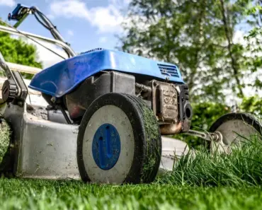 7 Handheld Tools to Keep Gravel Landscapes Smooth and Clean