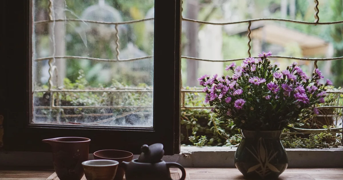 5 Reasons Gardeners Swear by Compost Tea compost tea benefits
