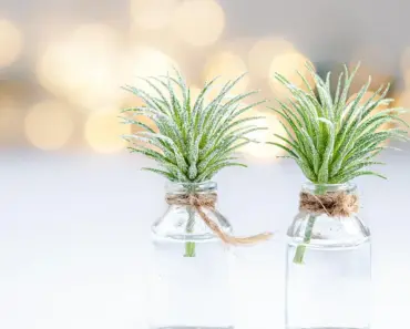 Turn Thrifted Jars Into Magical Lighted Accents