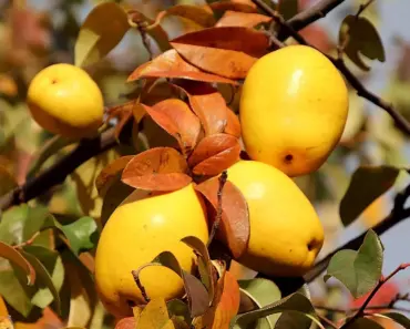 11 Quince Pieces Our Team Actually Keeps Wearing
