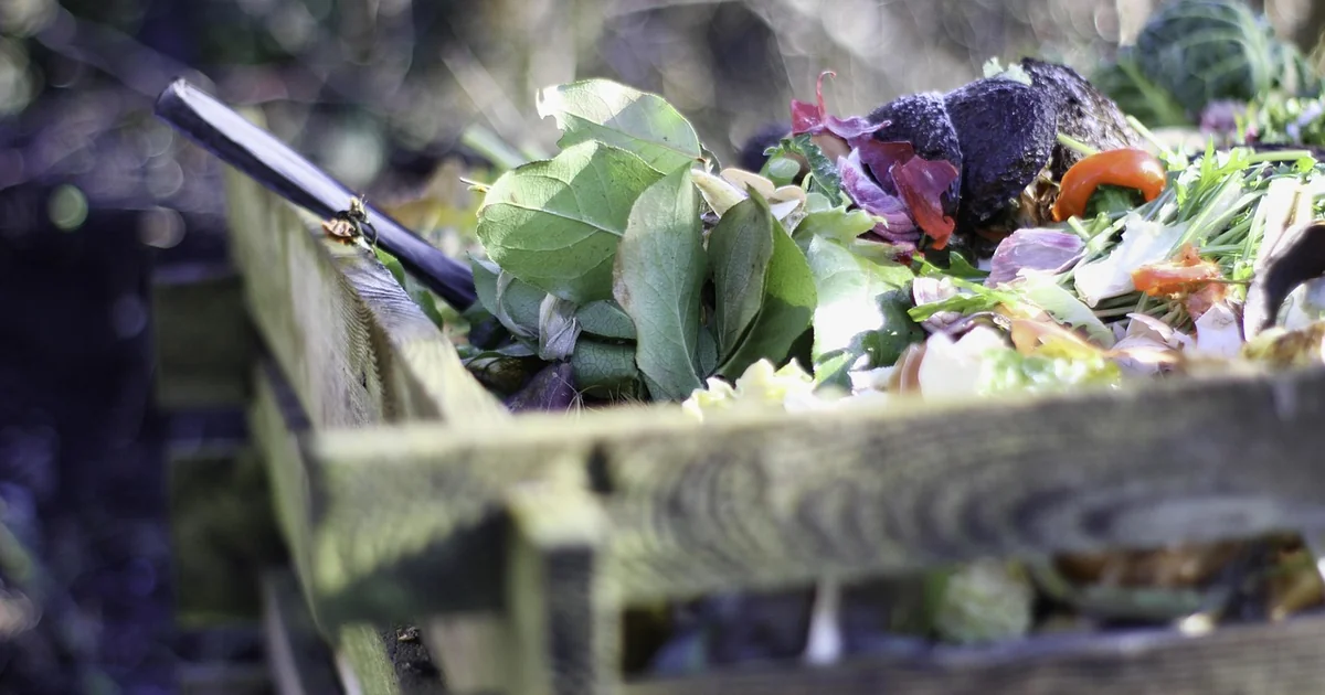 Will Plants Grow in Compost Only plants grow compost