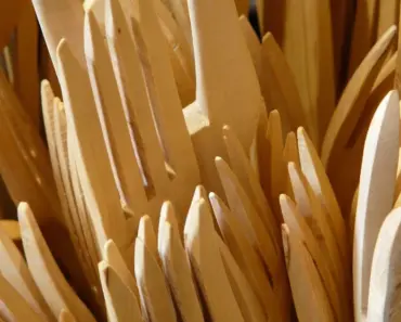 Is 100 Biodegradable the Same as Compostable
