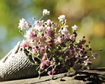 Can You Put Flowers in a Bag