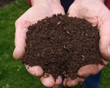Can Compost Pile Be Too Big