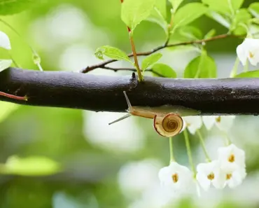 Is Spring a Rainy Season