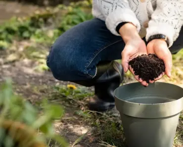 What is a Natural Activator for Compost