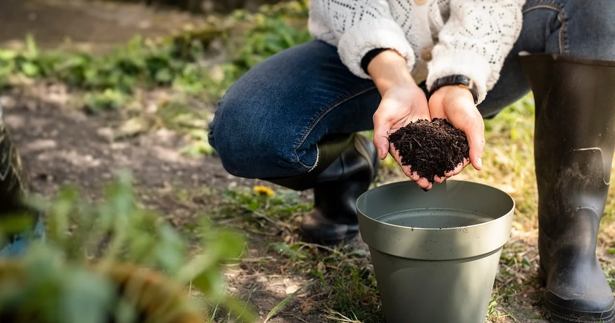 What is a Natural Activator for Compost natural activator compost