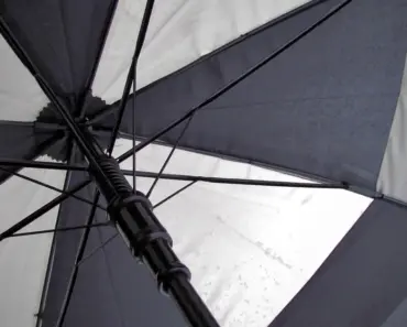 Does Umbrella Policy Cover Dog Bites