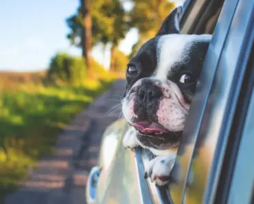 How Thick is Car Window Glass