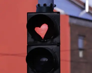 Can You Survive If Your Heart Stops for 20 Minutes Can You Survive If Your Heart Stops for 20 Minutes