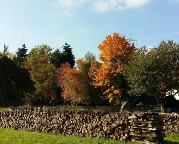 What Color Makes Wood Stand Out