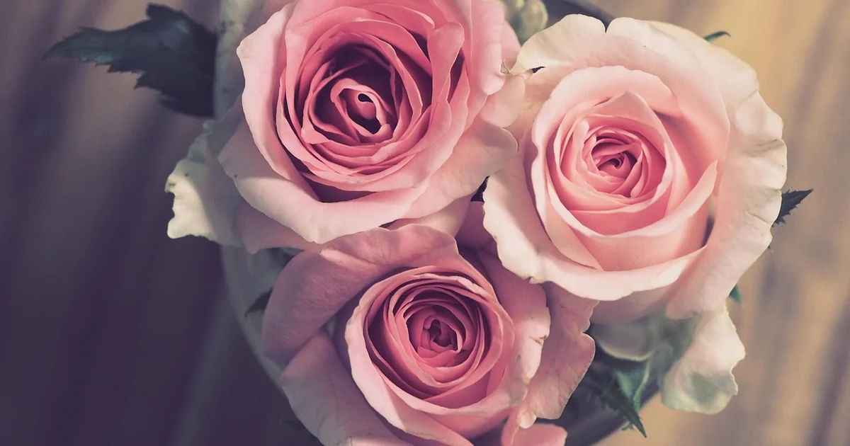 Anniversary Gifts for Him the Best Will anniversary gifts him