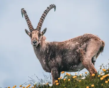 Capricorn Monthly Horoscope Unexpected Life Changes