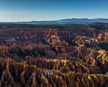 How Many Cars Can You Sell in Utah Without a License