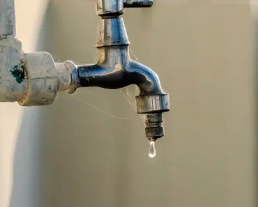 Is Valve Repair Better Than Replacement