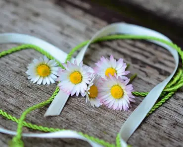 What Do Pink Flowers Symbolize