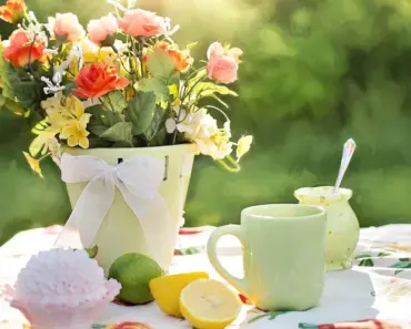 What is the Trend in Tablecloths in 2024