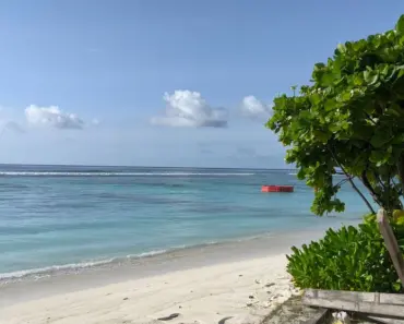 Is Sandy Beach Safe to Swim