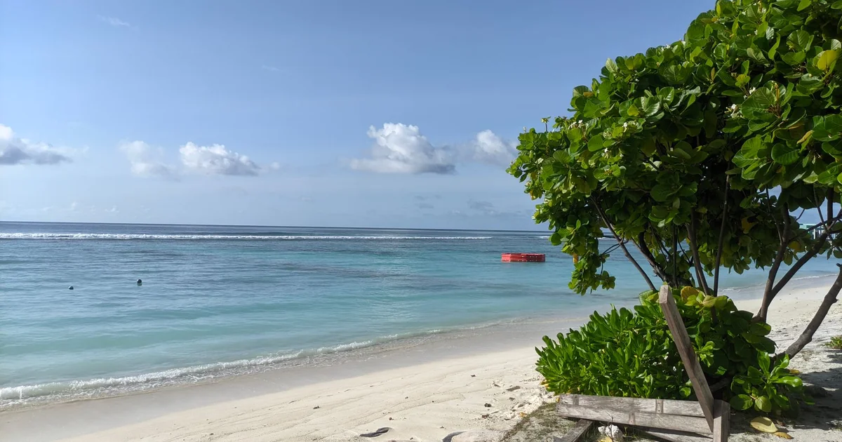 Is Sandy Beach Safe to Swim sandy beach safe