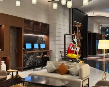 Who is Renaissance Hotel Owned by