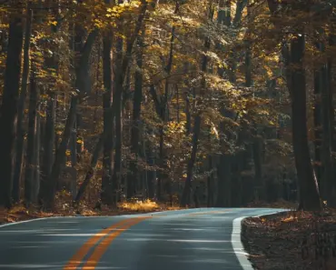 Is Lane Equal to Street Is Lane Equal to Street