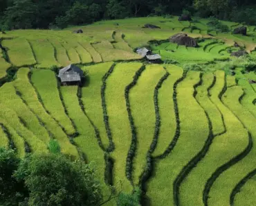 Is Vietnam Suitable for Vegetarians