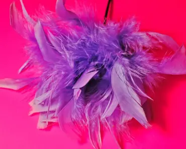 Does Corsage Color Matter