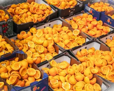 Why Should We Not Waste Food Why Should We Not Waste Food