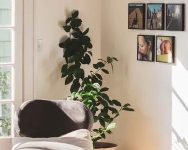 How to Get Better at Home Management