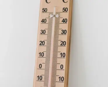 A Comprehensive Guide on Temperature Requirements for Indoor Plants