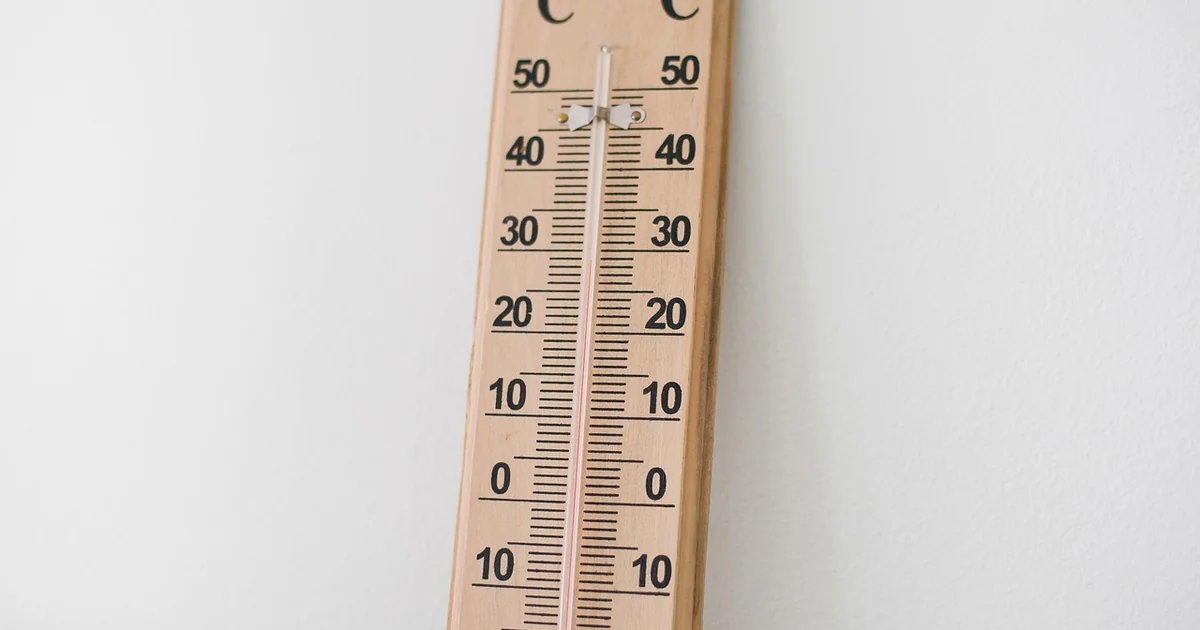 A Comprehensive Guide on Temperature Requirements for Indoor Plants comprehensive guide temperature
