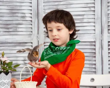 8 Toddler Behaviors That Look Like Defiance but Are Actually Signs of Intelligence