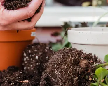 What Can I Add to Compost to Make Garden Soil