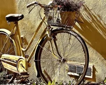 Are Older Bikes Cheaper to Insure