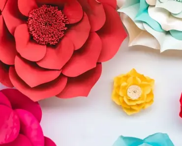 From Easy Diys to Kits