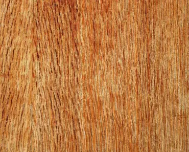 What is the Difference Between Plywood and Wood Planks
