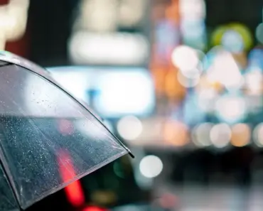 Why Not to Use an Umbrella Company Why Not to Use an Umbrella Company