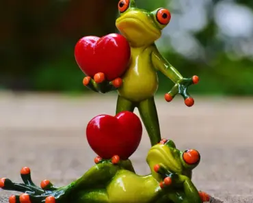 What is the 28 Day Heart Challenge What is the 28 Day Heart Challenge