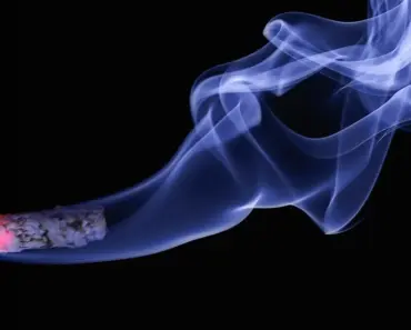 Worst Habit for Memory Loss