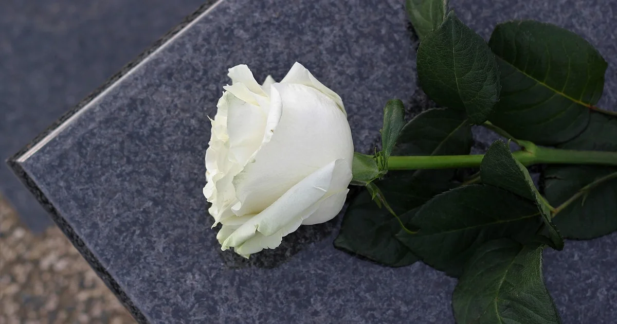 What Does a White Rose Symbolize white rose symbolize