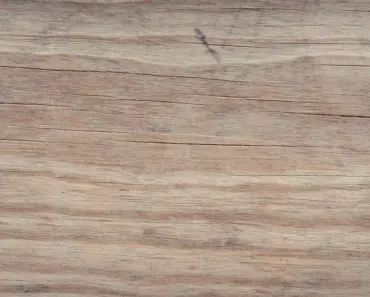 Is Elm a Light Wood