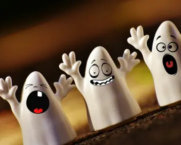 What is a Ghost Immobiliser