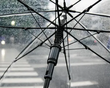 Why Would Someone Buy an Umbrella Policy