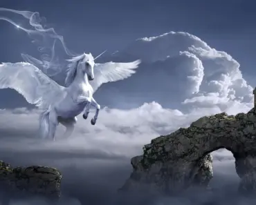What Fairy Tale Slept for 20 Years