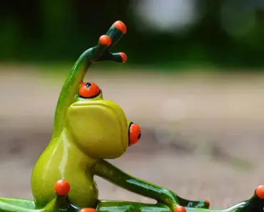 Are Condoms One Size Fits All