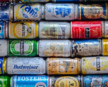 Is Compostable the Same as Recyclable
