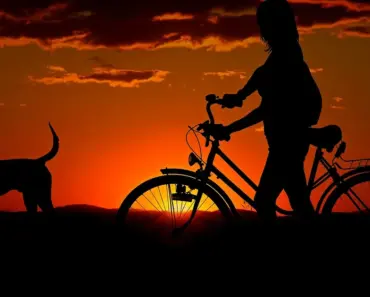 Who Are the Owners of Shareholders