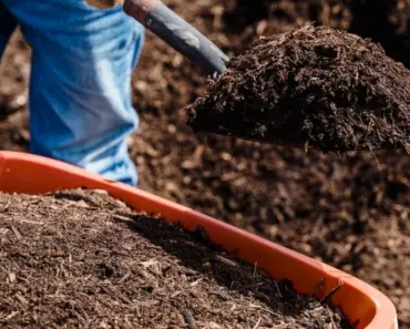 What Compost to Add to Garden Soil