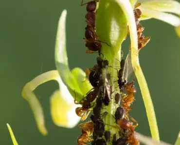 How to Treat Lice Without Losing Your Mind From a Mom Whos Been There