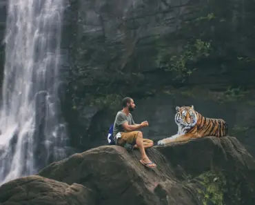 How Do You Tell a Wild Animal Story